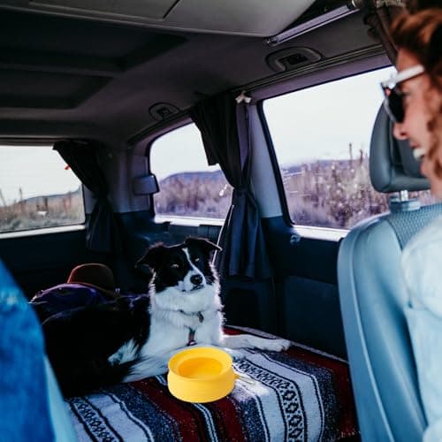 SLSON Non Spill Dog Water Bowl for Car Collapsible Dog Travel Bowl Integrated Molding Portable Pet Drinking Bowl for Road Trip (Yellow) — view 6