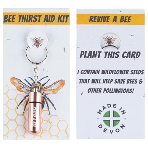 Revive a Bee Rose Gold Bee Revival Kit, Keyring with Sugar Syrup