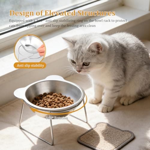 2Pcs Elevated Cat Bowls, 15° Tilted Raised Stainless Steel Cat Food and Water Bowl Set Anti-Vomit Neck Protection Pet Feeding Station for Indoor Cats & Small Dogs, Dishwasher Safe — view 3
