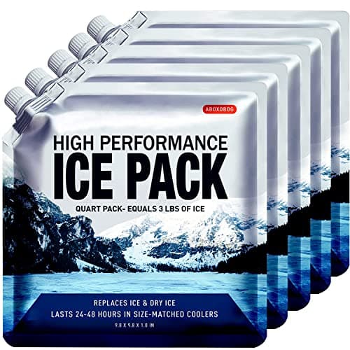 ABOXOBOG Reusable Ice Packs for Coolers 5 Pack, Long Lasting Gel Freezer Packs for Cooler Bag, Large Lunch Box, Beach, Camping & Road Trips Cold Blocks (9.8" x 9.8")