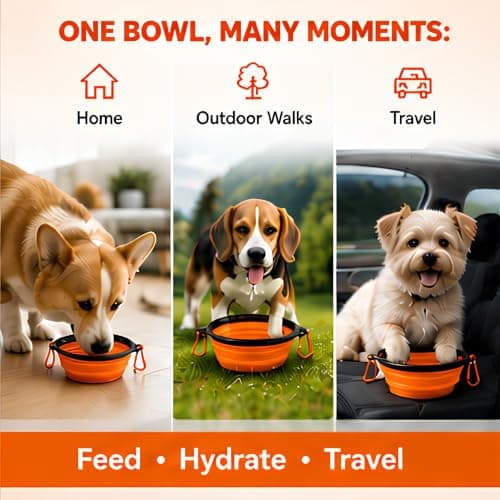 2Pcs Collapsible Silicone Travel Dog Bowl - Portable Pet Water & Food Dish with Carabiner Clip, Pet Water & Food Travel Dog Bowl, Collapsible Dog Bowl,Collapsible Dog Water Bowls for Cats Dog (Orange) — view 5