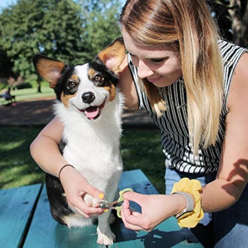 Coastal Pet - Safari - Dog Nail Trimmer, No Color, One Size (3.5" L x 2.125" W) — view 2