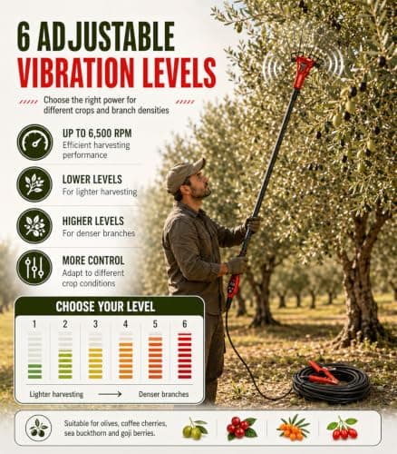 ZHIGUANYUN Telescopic Olive Harvesting Rake 600W — view 6