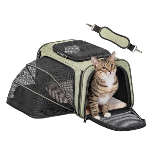 Petsfit Small Cat Carrier Airline Approved ,Expandable Carrier for Kitten Puppy Bunny,41L x 23W x 25H centimetres
