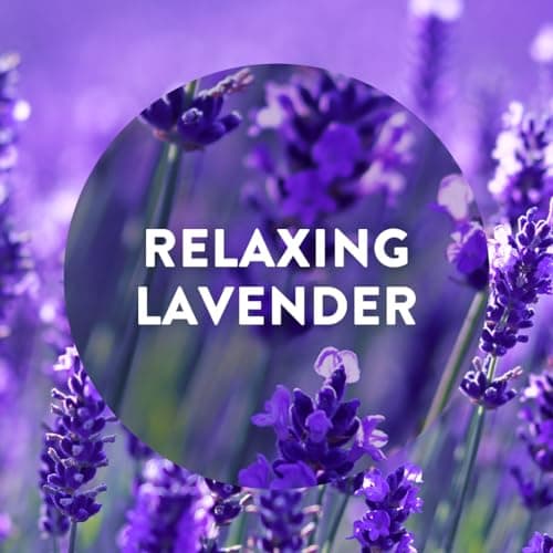 Air Wick Essential Mist Twin Refills, Relaxing Lavender, Pack 2 x 20ml, Natural Essential Oils, Last up to 90 days, Packaging may vary — view 3