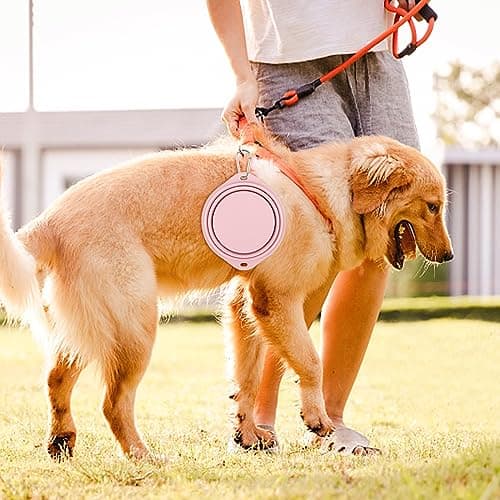 Pack of 2 Foldable Travel Bowls, Leak-Proof Dog Bowls, Foldable Silicone Water Bowl for Dogs on the Go and Pets for Water and Food (Pink, Blue) — view 4