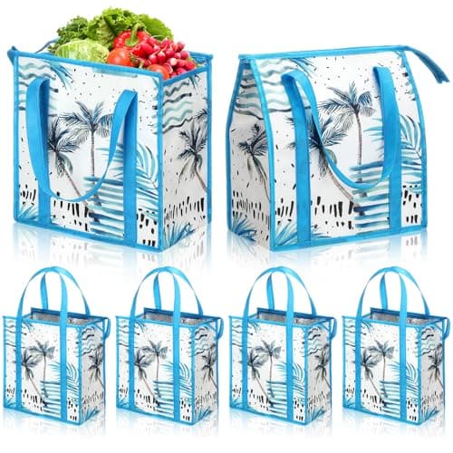 Paterr 6 Pack Insulated Grocery Bag Cooler Thermal Tote Bag with Zipper Top
