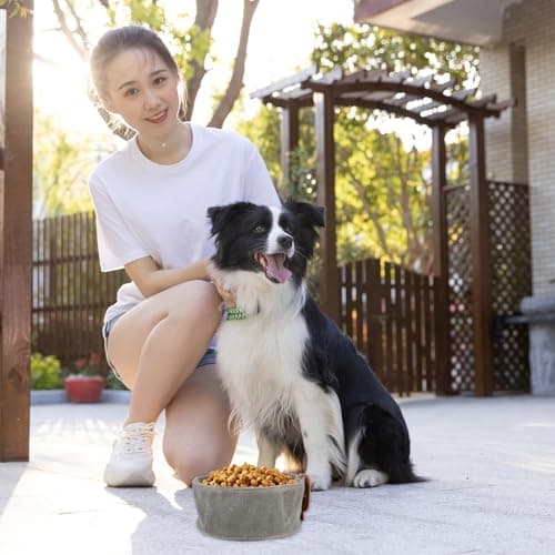 Dog Folding Bowl Canvas for Outdoor Travel Feeding and Drinking — view 6