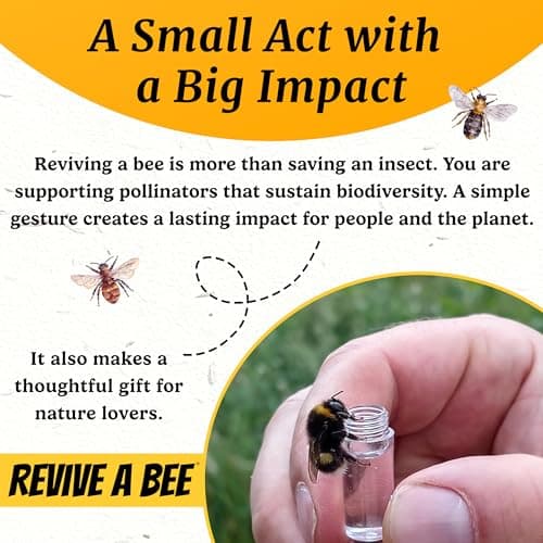Revive a Bee Rose Gold Bee Revival Kit, Keyring with Sugar Syrup — view 5