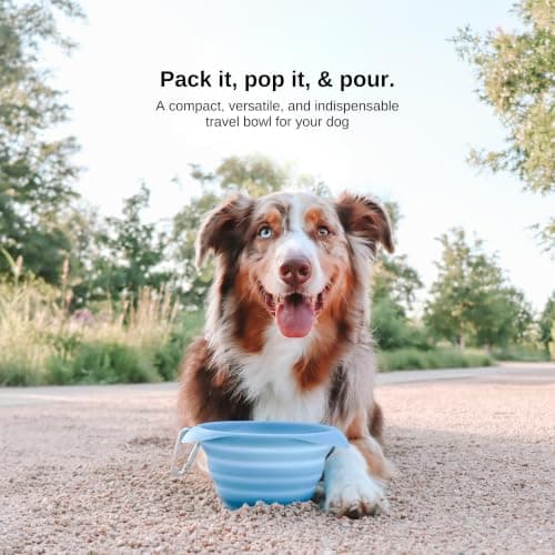 Kurgo Collaps-A-Bowl, 24oz, Blue — view 5