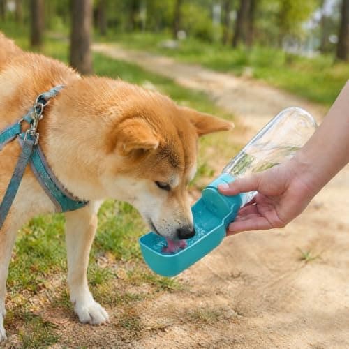 Portable Dog Water Bottle and Bowl, 500 ml Foldable Pet Water Dispenser for Food and Drink, Leak-Proof Dog Travel Water Bottle for Walking, Hiking and Travel Accessories, Blue (Blue) — view 2