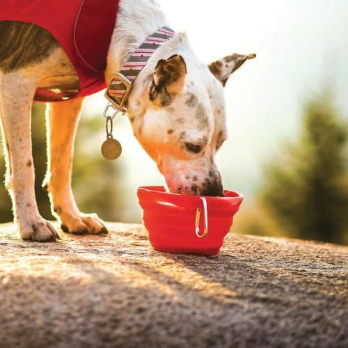 Kurgo Collaps-A-Bowl, 24oz, Red — view 3