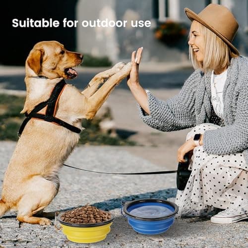 2pcs Collapsible Dog Bowl Portable Dog Bowls Puppy Water Bowl for Dogs Cats Travel Foldable Dog Bowl with Carabiners Folding Pet Water Bowl for Camping Travelling Hiking 350ml — view 6