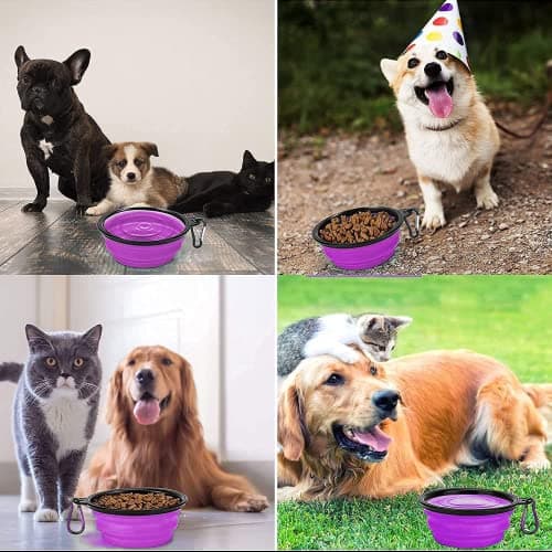 Collapsible Dog Bowl,Collapsible Dog Water Bowls for Cats Dogs, Portable Pet Feeding Watering Dish,Portable Dog Water Food Bowl with Carabiner (Medium(650ML), Purple) — view 6