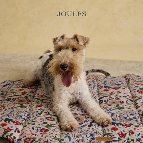 Rosewood x Joules Festival Floral Travel Mat for Dogs – Foldable Portable Pet Mat, Easy-Carry, Washable, Stylish Joules Print Dog Travel Bed for Car, Home and Holidays — view 6