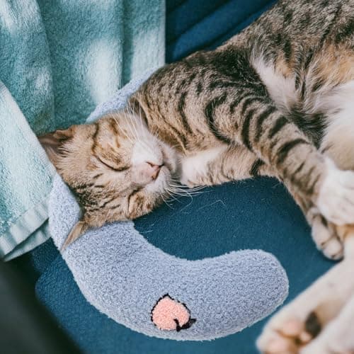 Gadpiparty U Shaped Cat Pillow for Deep Sleep Neck Protection 4 Pack — view 3