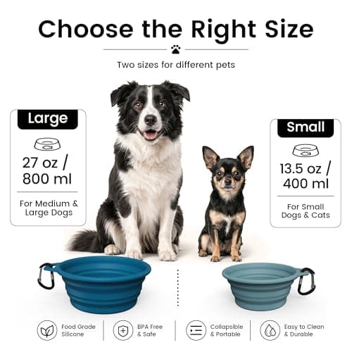 OHMO Large Collapsible Dog Water Bowl for Travel, 800ml, Peacock Blue — view 2