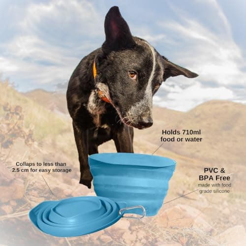 Kurgo Collaps-A-Bowl, 24oz, Blue — view 2