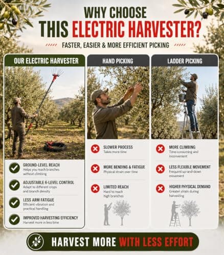 ZHIGUANYUN Telescopic Olive Harvesting Rake 600W — view 2