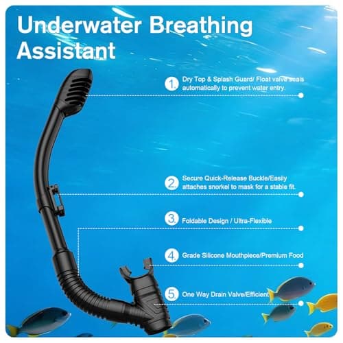 BuyCard Snorkel Mask,180 Degree Panoramic View Dry Top Snorkeling Gear，Safe Anti-Leak Anti-Fog Diving Mask, Snorkel Set and Swimming Goggles (Peacock Green) — view 5