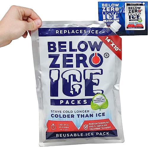 Below Zero Reusable All Day Ice Packs for Coolers, Large 14"x10", 3 Pack