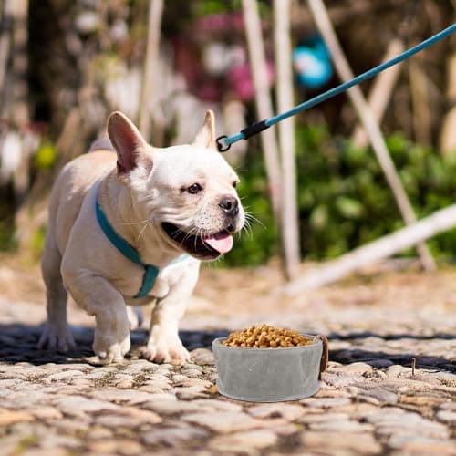 Dog Folding Bowl Canvas for Outdoor Travel Feeding and Drinking — view 5