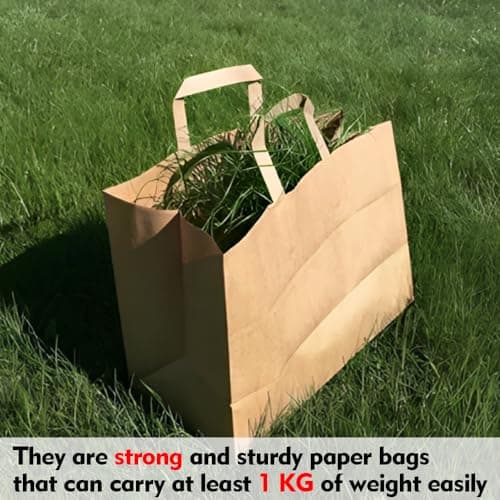 Tezraftaar® 100 x Paper Bags with Flat Handle 18cm x 23cm x 9cm (Small) Brown Kraft Carrier Bags for Carry Cloths Shopping Parties — view 6