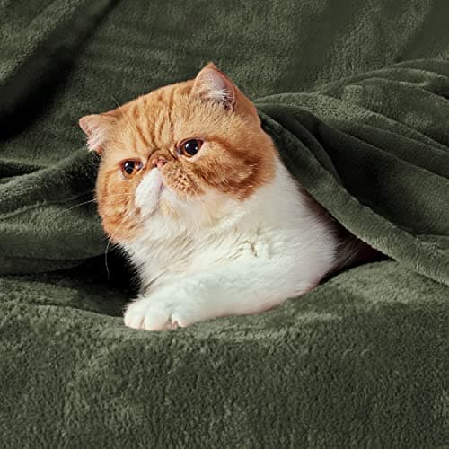 Bedsure Fleece Throw Blanket for Bed - Flannel, Olive Green, 150x200 cm — view 2