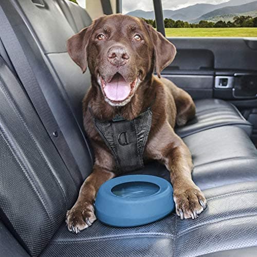 Kurgo Splash Free Wander Dog Water Bowl, 710ml, Coastal Blue — view 5