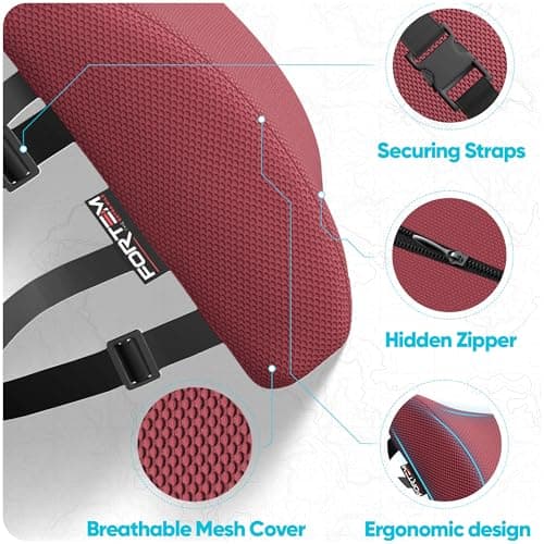 FORTEM Lumbar Support Cushion For Office Chair Back Support Pillow For Car — view 4