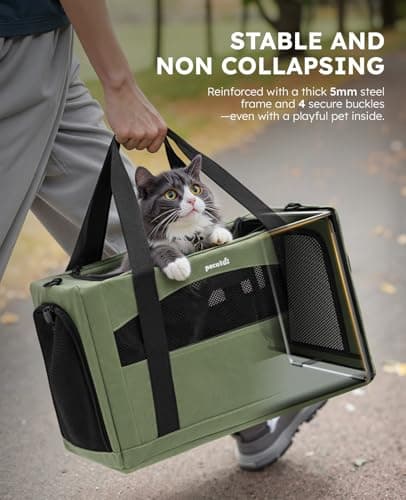 pecute Cat Carrier, Pet Carrier with Scientific Hidden Partition, Green — view 2