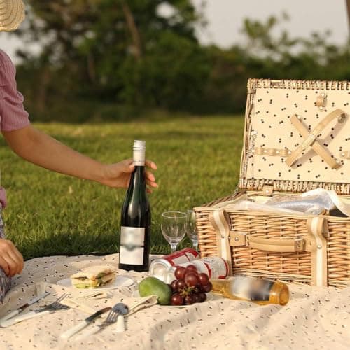 VIREO GARDEN Picnic Basket Set for 2 Person with Large Insulated Cooler Bag — view 6