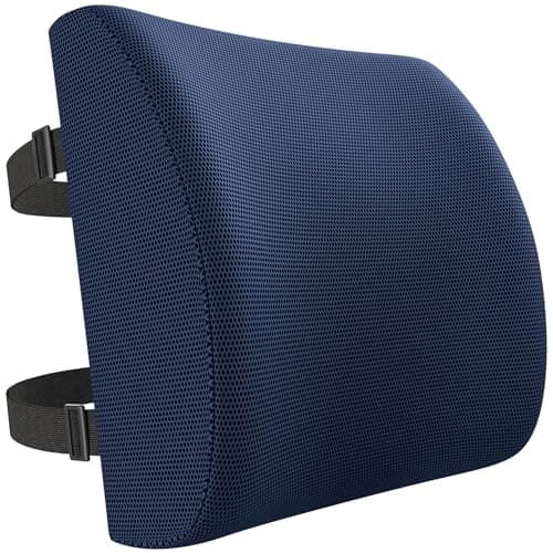 FORTEM Lumbar Support Cushion For Office Chair Back Support Pillow For Car