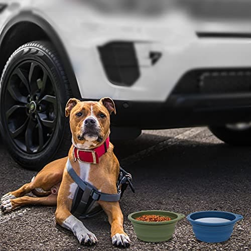 SLSON 2 Pack Dog Collapsible Bowl Large Portable Dog Bowl Pet Feeding Bowl Dog Food Water Bowl Pet Travel Bowl with Carabiner for Pet Indoor and Outdoor Activity (Navy + Dark Green) — view 5