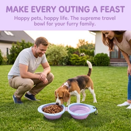 2-in-1 Collapsible Dog Bowl, Portable Silicone Travel Water Bowl — view 6