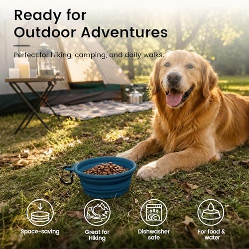 OHMO Large Collapsible Dog Water Bowl for Travel, 800ml, Peacock Blue — view 4