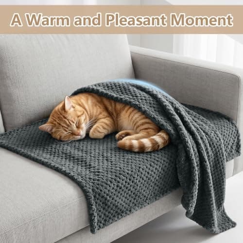ASIJIA 2 Pack Soft Warm Pet Blankets, 70 x 100 CM Washable Fuzzy Dog Cat Blanket, Thick Cozy Flannel Throw Cover for Small Medium Dogs Cats, Couch Bed Car Travel Use, Dark Gray — view 4