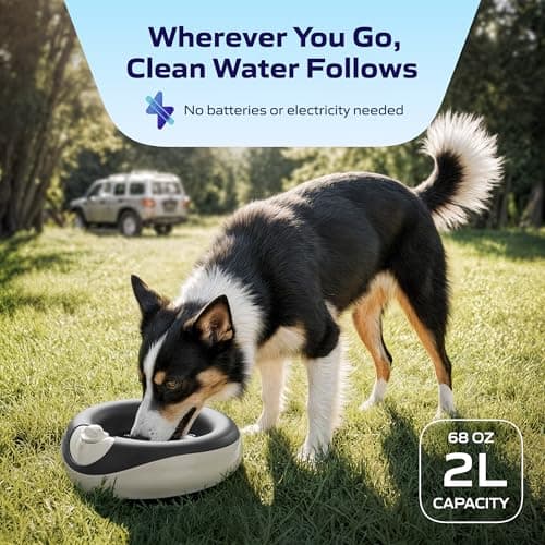 Torus Pet Portable Cordless Water Dispenser | 2-Liter | Fresh Filtered Water | Healthy & Hygienic Pet Water Dispeners | for Larger Dogs and Multi-Pet Homes - Charcoal — view 6