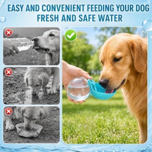 Portable Dog Water Bottle, 2 in 1 Foldable Silicone & Clear Plastic Pet Water Cup for Travel, 285ml Large Capacity for Dogs Cats Outdoor Walking Hiking (blue) — view 3