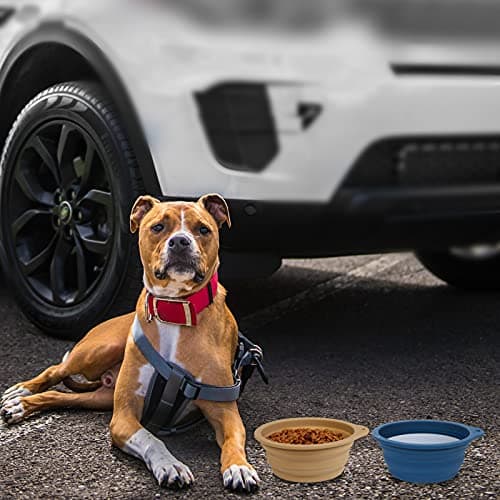 SLSON 2 Pack Dog Collapsible Bowl Large Portable Dog Bowl Pet Feeding Bowl Dog Food Water Bowl Pet Travel Bowl with Carabiner for Pet Indoor and Outdoor Activity (Navy + Khaki) — view 6