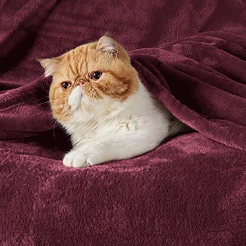 Bedsure Fleece Throw Blanket for Bed - Flannel, Burgundy Red, 150x200 cm — view 2