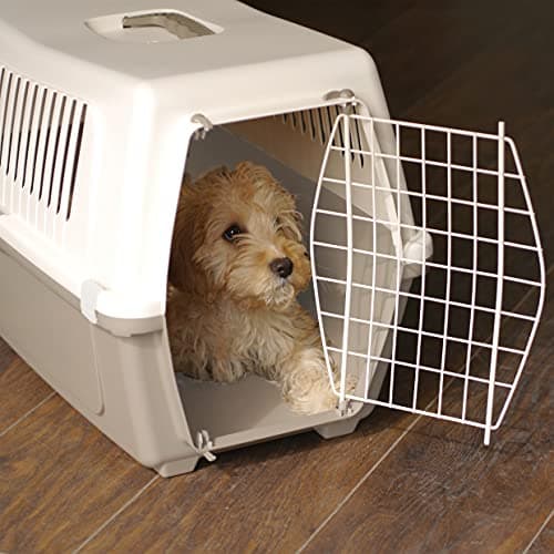 Rosewood Vision Classic 60 Cat Carrier, Medium – Pet Travel Crate, Portable Hard-Shell Plastic Carrier for Cats, Kittens and Small to Medium Pets – Mocha/White — view 2