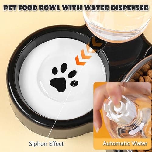 3-in-1 Cat Food and Water Bowl Set, Tilted Stainless Steel Bowls with Stand, Double Food Bowls with Water Dispenser, Pet Feeding Station for Cats Small Dogs, Black — view 4