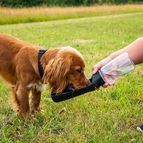 Mountain Paws Folding Dog Water Bottle, 550ml, BPA-Free For Dogs — view 5