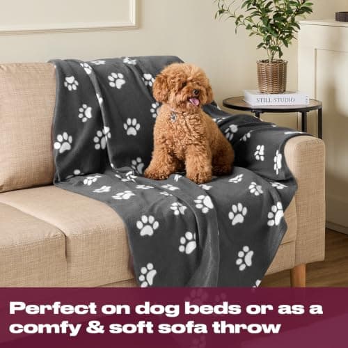 OHS Pet Blankets for Dogs, Fleece Dog Blankets Washable Fluffy Soft Comfy Warm Cats Pet Throw Fleece Blankets for Pets Sofa Cover Throw, Charcoal Grey 120cm x 150cm — view 4