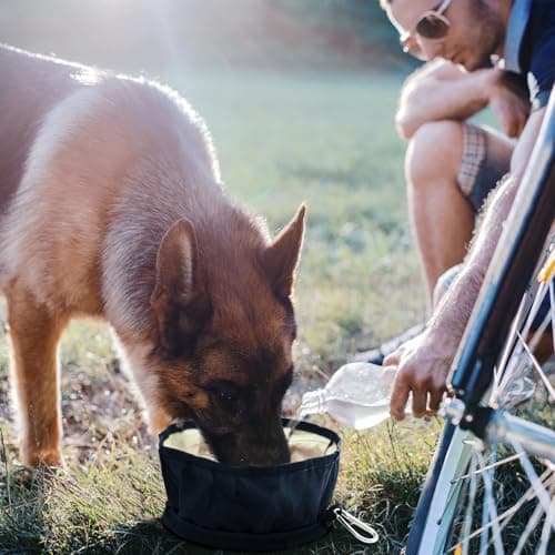 LumoLeaf Collapsible Dog Travel Bowls, Large Lightweight Foldable Bowl, Water and Food Bowls for Pets Dogs Cats with Zipper (Single (White)) — view 5