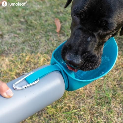 LumoLeaf Insulated Dog Water Bottle 27 oz Stainless Steel - Keep Water Cool or Warm, Portable Pet Water Bowl for Travel, Wide Mouth for Easy Ice Filling & Cleaning (Blue, 27 oz) — view 5