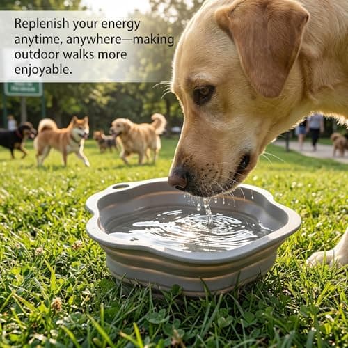 UZYXC Collapsible Dog Bowl, Large 800ml Premium Silicone Pet Water Bowls for Cats & Dogs, Portable Dog Travel Bowls for Outdoor Camping Hiking — view 5