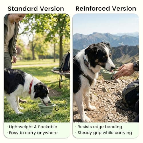 OHMO Large Collapsible Dog Bowl with Steel Ring, 800ml, Light Green — view 4