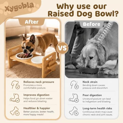 Xygobla Raised Dog Bowls with Stand 4 Level Bamboo — view 3